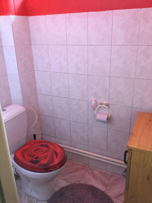 Vysoké MýtoLydiaviアパートメント エクステリア 写真
