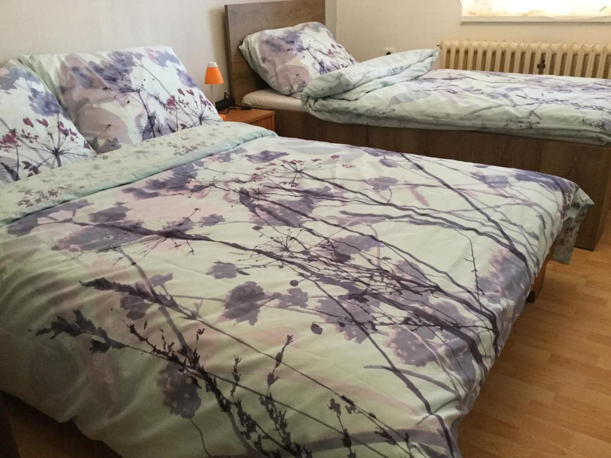 Vysoké MýtoLydiaviアパートメント 部屋 写真